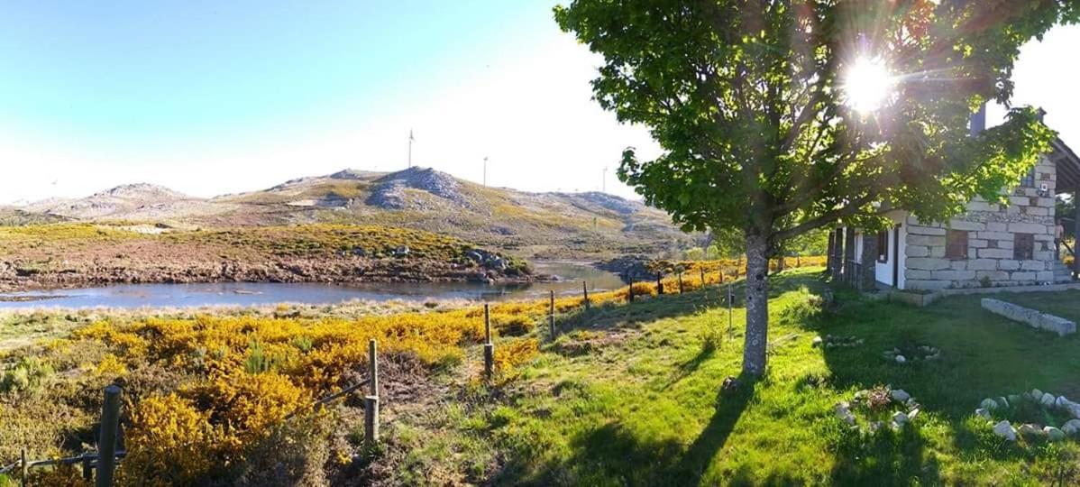 São Pedro do Sul Lago Da Garca Guesthouse المظهر الخارجي الصورة