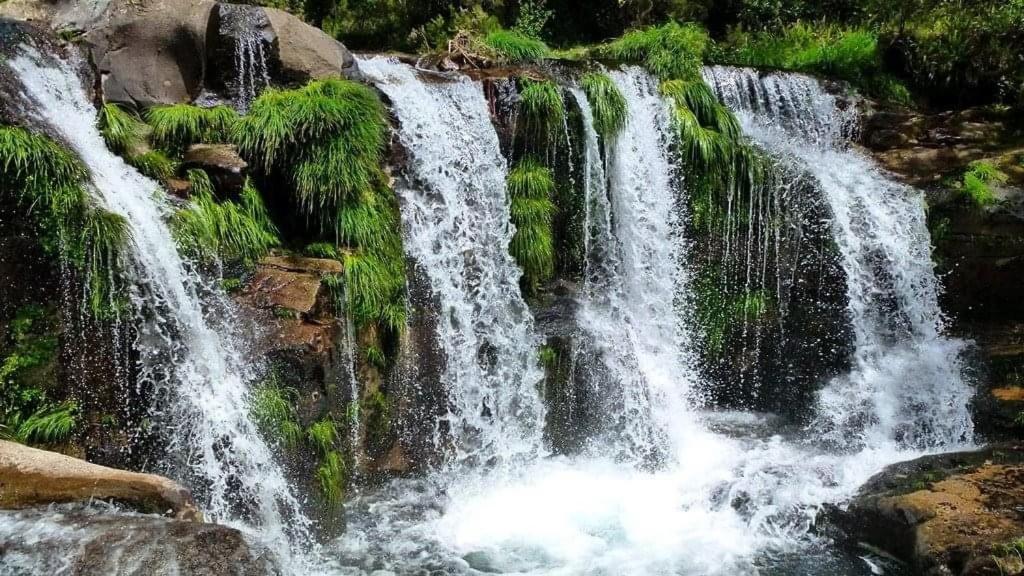 São Pedro do Sul Lago Da Garca Guesthouse المظهر الخارجي الصورة