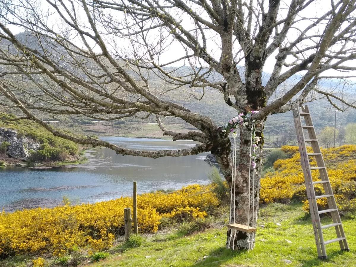 São Pedro do Sul Lago Da Garca Guesthouse المظهر الخارجي الصورة