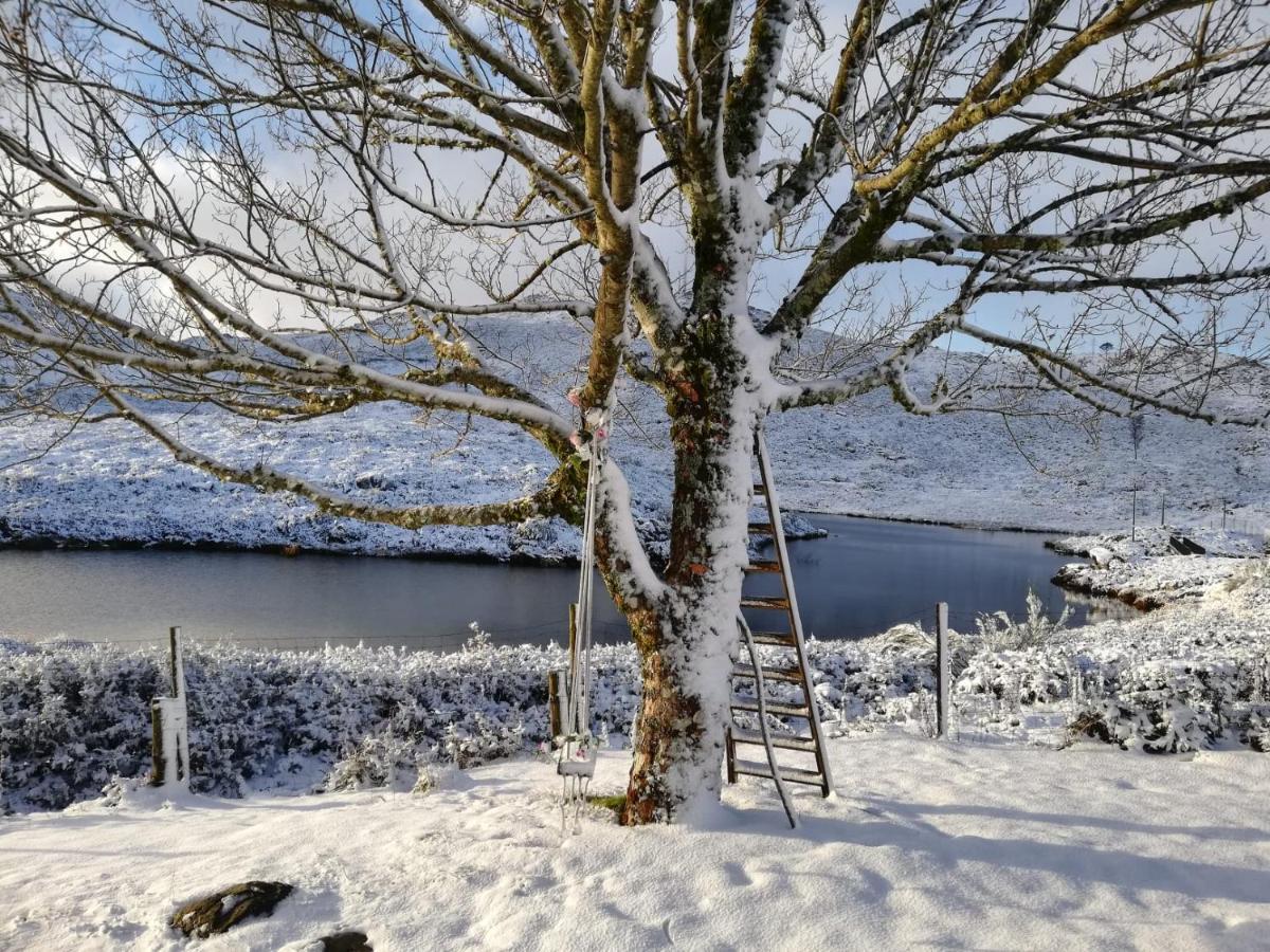 São Pedro do Sul Lago Da Garca Guesthouse المظهر الخارجي الصورة